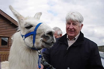 Alan Watson and llama